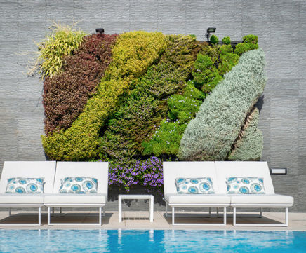 Vertiss outdoor and indoor green walls for hotel resort