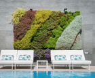 Vertiss outdoor and indoor green walls for hotel resort