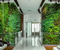 Vertiss living green wall - shopping centre, Middle East
