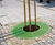 Sinus Tree Guard 5