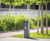 Crystal fully-enclosed all-steel outdoor litter bin 10