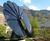 SmartFlower POP intelligent solar energy system 0