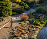 Resin bound surfacing for pathways at Royal Botanic Garden - on this page