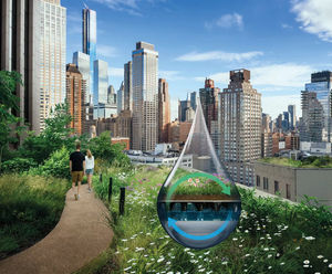 PolderRoof - smart green roof for water management and climate resilience