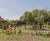 Pocket Park opens – the big green tractor multiplay unit comes to Sulgrave! 9