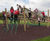 Pick Up Sticks 3 - timber playground climbing frame for children 4