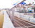 Hardwood timber decking 5
