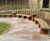 Sustainable furniture by Woodscape for Chinese Garden 0
