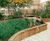 Hardwood retaining wall system 1