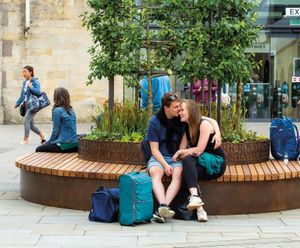 Movable circular hardwood tree seats for public realm