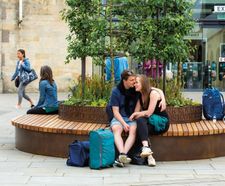 Movable circular hardwood tree seats for public realm