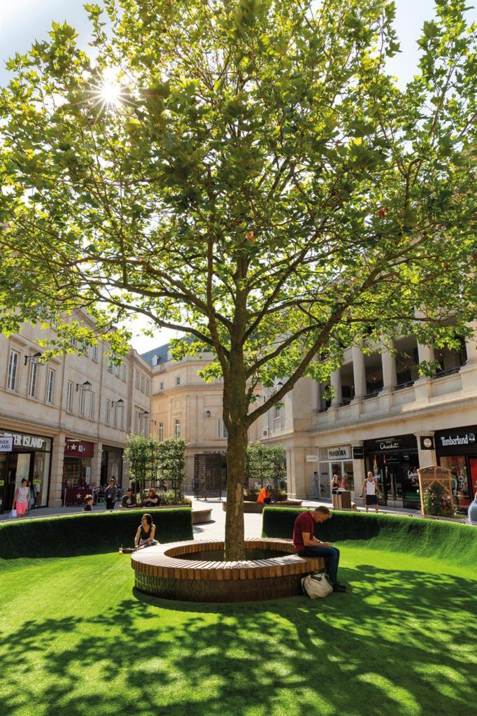 Movable Circular Hardwood Tree Seats For Public Realm Woodscape Esi