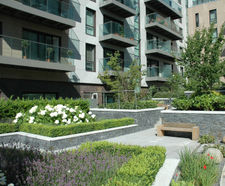 Hardwood seats and planters for green landscaping scheme