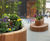 Custom planter seats for public space - St James Market 3