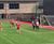 Fencing for Newport Gwent Dragons' training base 2