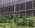 Bronze cladding and mesh fencing - supermarket car park 1