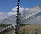 ArmaWeave achieves steepest rake yet - on this page