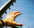 FenceProtect Electric Security Fencing 4