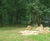 High security fencing for Longleat lion enclosure 0