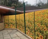 Fencing to Calm Patients in MHU - on this page