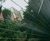 Dual Guard® twin wire mesh perimeter fencing system 2