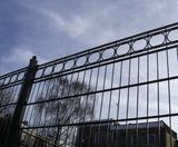 Zariba® twin wire mesh fencing with ring top design - on this page