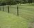 Zariba® twin wire mesh fencing with ring top design 5