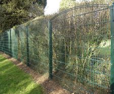 Gemini Surf - steel mesh decorative security fencing
