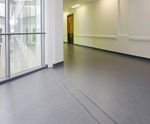 DGTR Series - CS gasketed floor joint covers