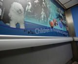 Acrovyn by Design transforms hospital lifts - on this page