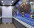 CS Acrovyn® HRB-20 - heavy-duty combined hand/crash rail 5