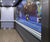 CS Acrovyn® Hand/Crash Rails 3