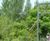 Cable stay steel bridges for pedestrians and cyclists 4
