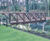 Timber footbridges - hardwood and softwood 7