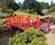Bespoke ornamental footbridges 3