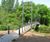 42m cable-stayed walkway, Attingham Park, National Trust 0
