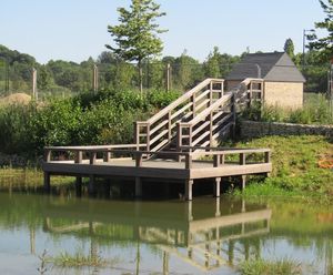 Boardwalks and platforms
