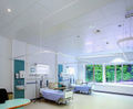 Danotile suspended ceiling tile