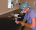 Automatic taps for the healthcare sector