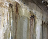 Waterproofing solution for basement water ingress - on this page