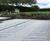 Terraxx - green roof drainage membrane 4