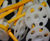 Delta FlexiDri - plastic watertight wall fixing plugs for membranes 0
