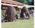 Wicker Huts - natural willow play structures for children's outdoor spaces 1