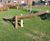 Golpio beam seesaw - four-seat outdoor robinia wood playground seesaw 4