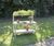 Ilex Planting Table - softwood garden table for planting activities 1