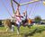 Snake Swing - multi-child outdoor swing set, pressure-treated softwood 1