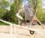 Wooden play equipment for stately home's play park 4