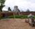 Wooden play equipment for stately home's play park 7