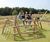 Ema Climbing Tree - natural robinia outdoor playground climbing unit 3