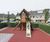 Marja Play Unit, Solo - outdoor robinia wood playground structure 1